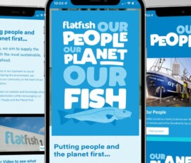 Flatfish website shown on a mobile phone to demonstrate responsive layouts